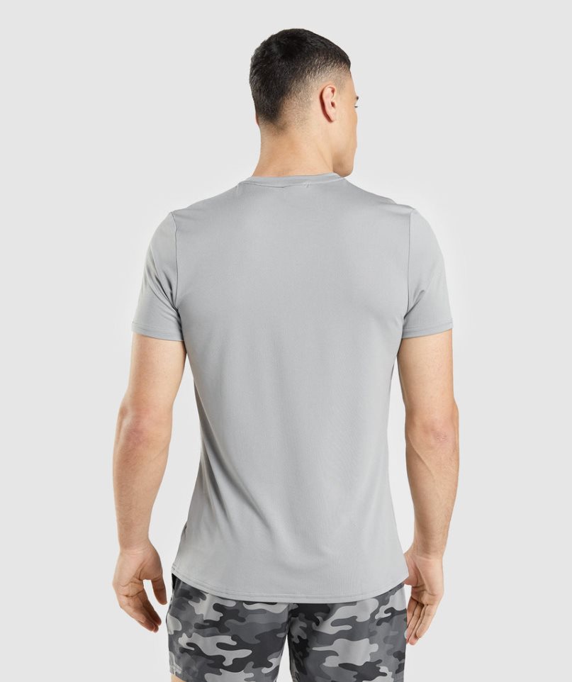 Men's Gymshark Arrival Graphic T-Shirts Light Grey | NZ 7WESHL